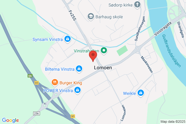 Tusenfryd Blomster Og Gaver