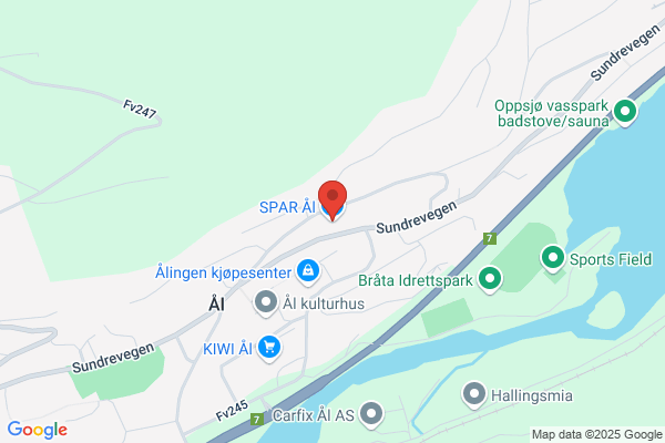Norsk Forsikring AS avd Ål