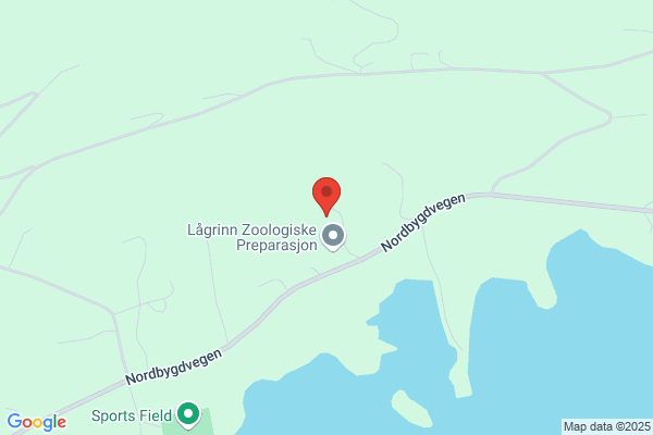 Kareli Frisørsalong