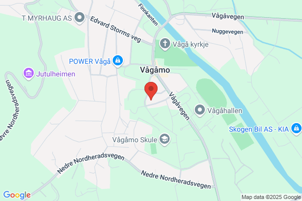 Kommunelegane I Ål