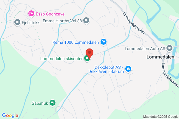 Ål Skiskole