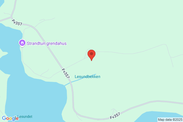 Løvik Randi Amdam