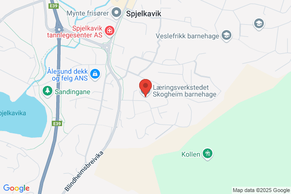 Skogheim Barnehage