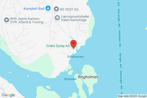 DyrØy As