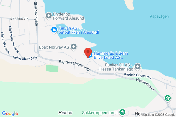 Hammerås & Sønn