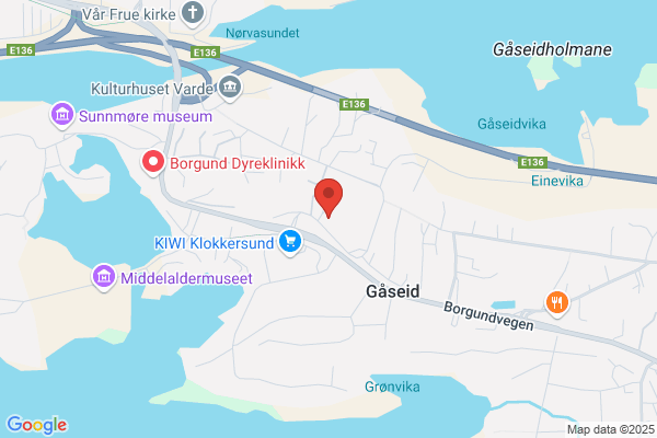 Ålesund Data AS