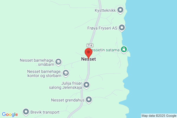 Nesset Frode A/s