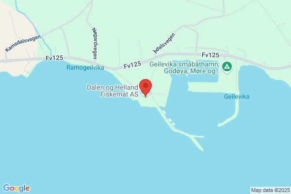 Dalen Og Wiik Fiskemat As