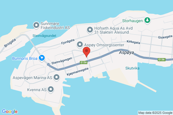 Mental Helse Ålesund Og Omegn