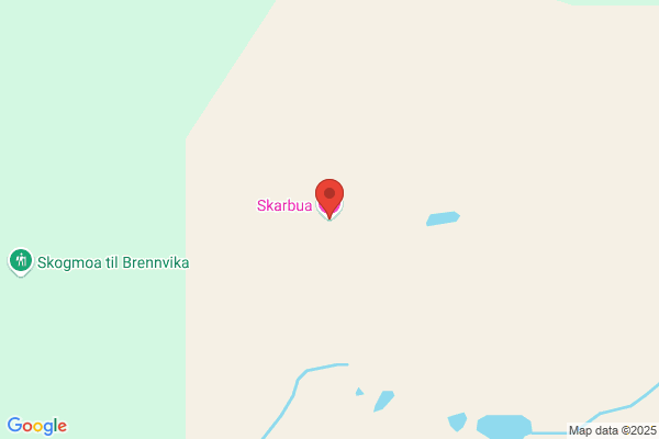 Skarbø & Co