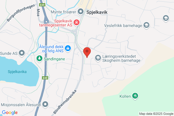 Skoghaug Industri As