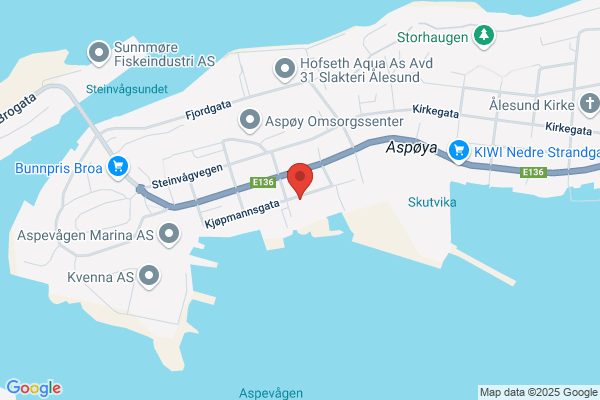Via Flyspesialisten Ålesund