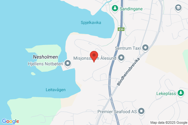 Stavseng Svein