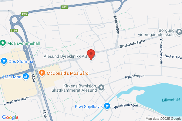 Ålesund Dyreklinikk