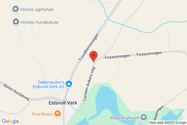 Halvorsen Arne