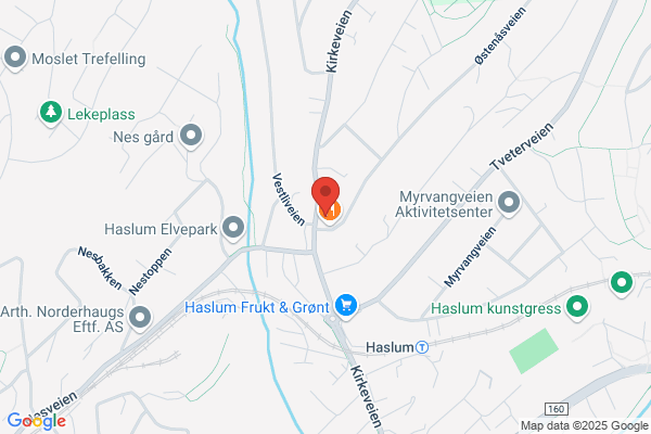 Haslum Blomster