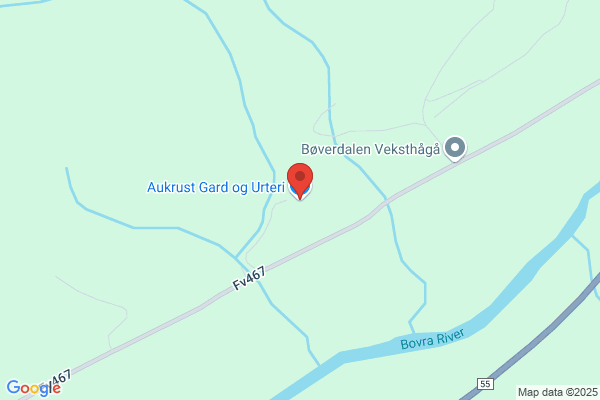Aukrust Elisabeth
