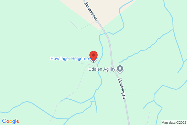 Helge's Hårsenter