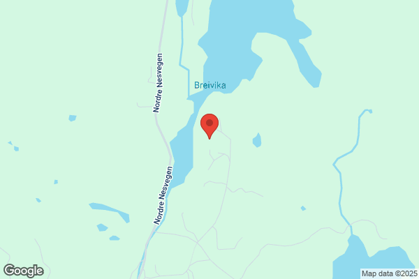 Fjell Per Rune
