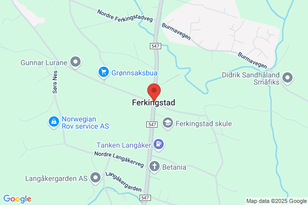 Ferkingstad Gunnleiv