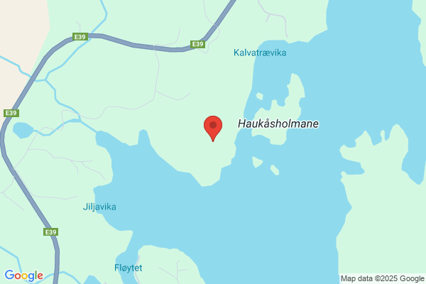 Skogheim Shetland Stutteri