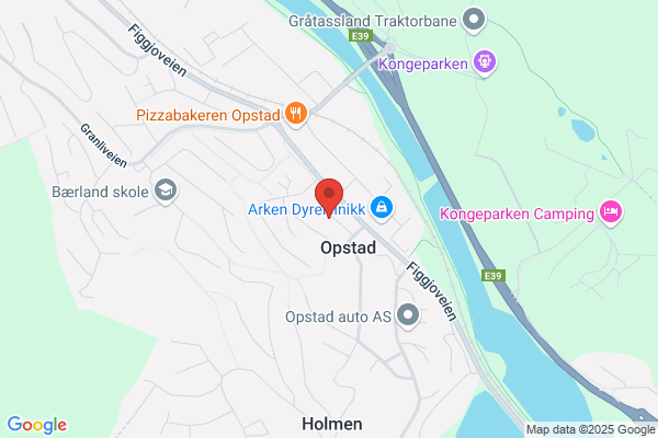 Norsk Murentreprise A/s