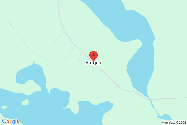 Borgen Aktiemølle