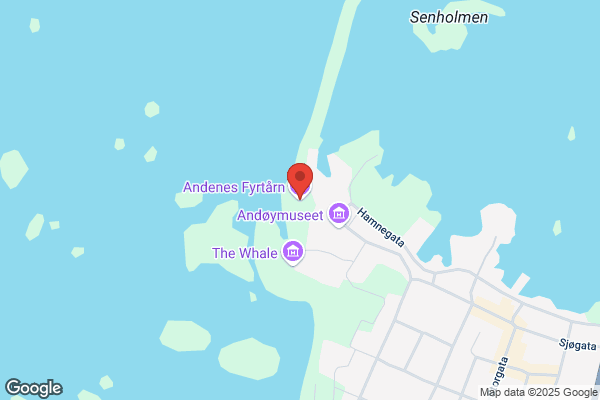 Aetat Andenes