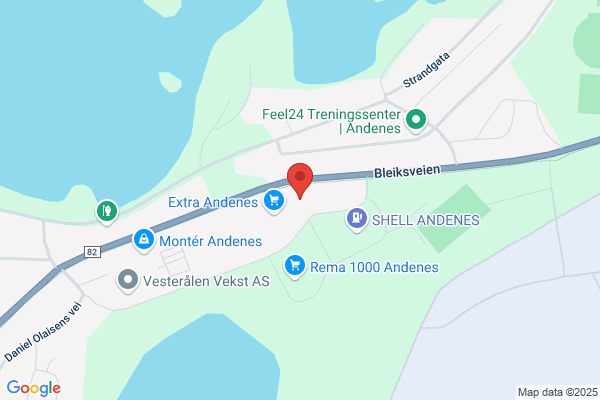 Andenes Elektriske