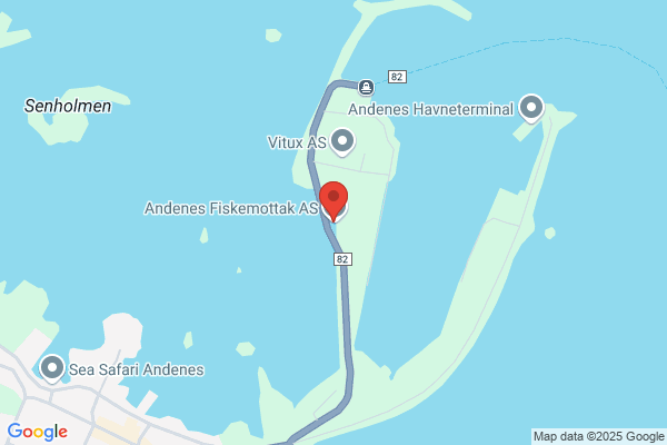 Framnes Fiskeindustri A/s