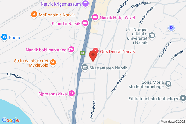 Håkvikdal Fjellrøye As