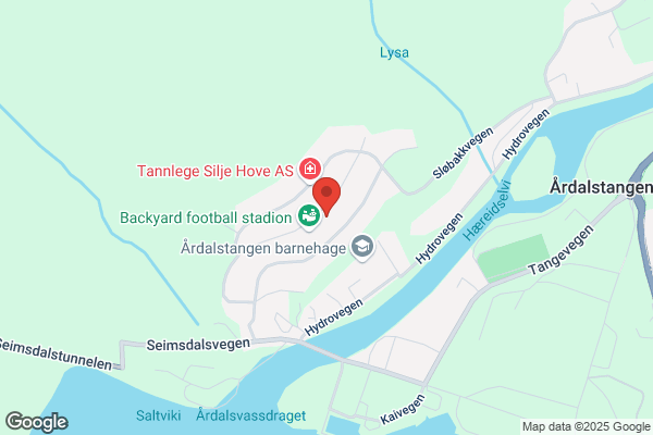 Taxi & Turvognservice-Årdalstangen