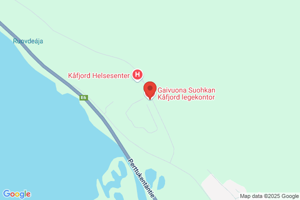 Kommunelegen I Åseral