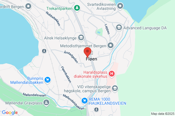 Tannhelsetenesta, Den Offentlege