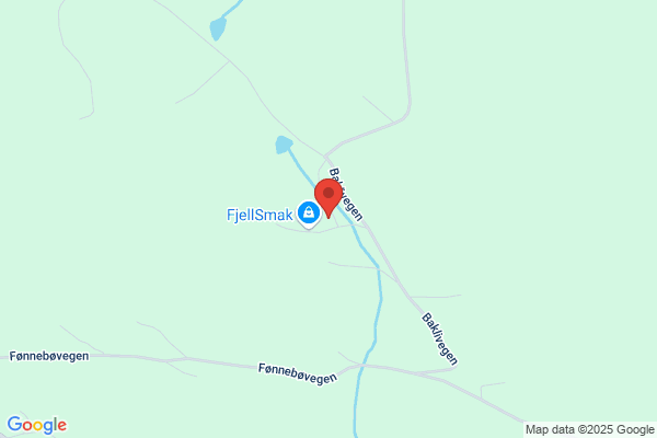 Fjellstad Produksjon