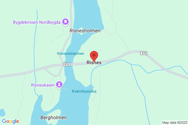 Risnes Frode