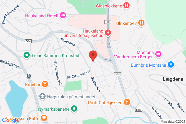 Skinnende Sjø