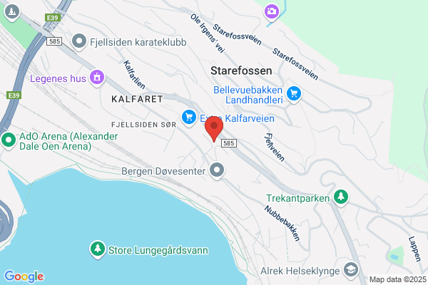 Lokalhistorisk Arkiv I Bergen