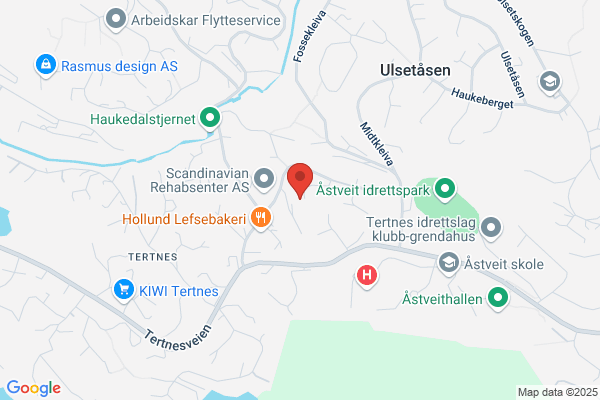 A 1 A Norsk Artist Formidling