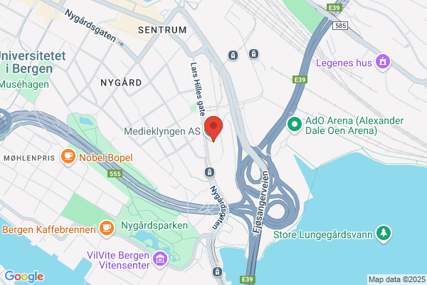 Bergens Tidende