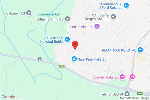 Bdps Bil & Dieselpumpeservice