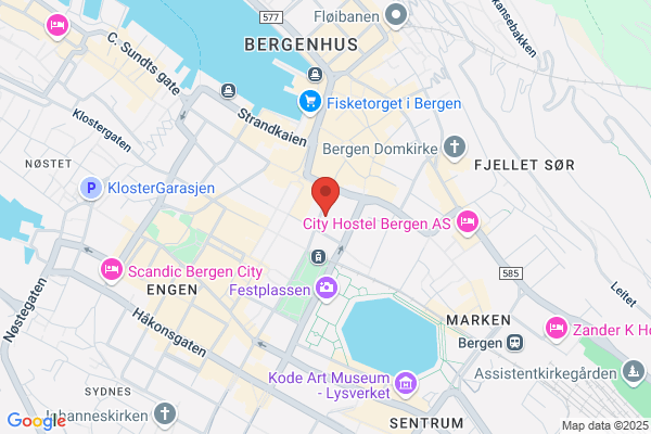 Margeritten Blomster Ans