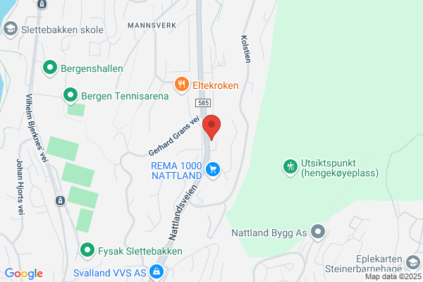 Norgeseliten