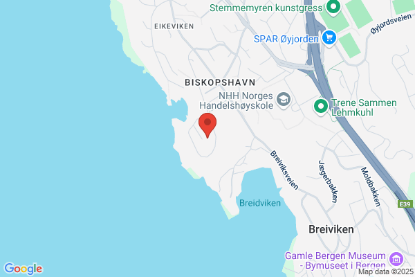 Kittang Terje Graveservice