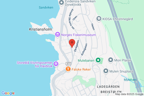 Selskabet For De Norske Fiskeriers Fremme