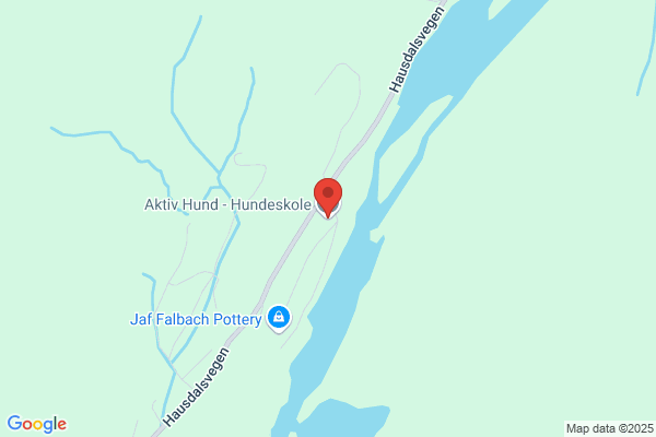 Aktiv Hund