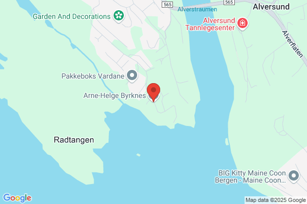 Bjørge Arne