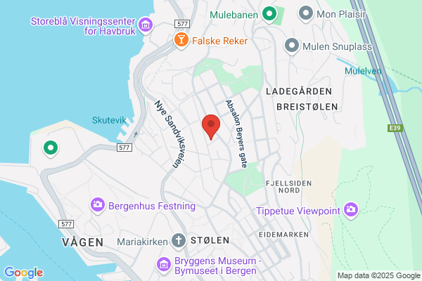 Bertelsen Torstein Inge