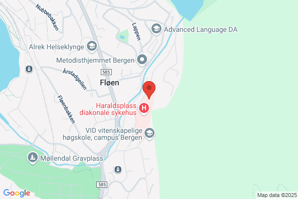 Diakonissehjemmets Høgskole