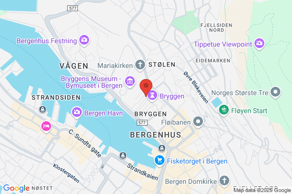 Bergen Steinsenter